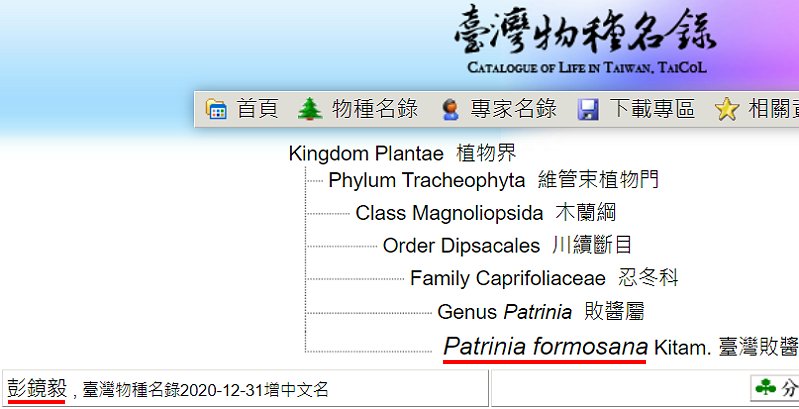 «ö¦¹¦b·sµøµ¡ÂsÄý¹Ï¤ù