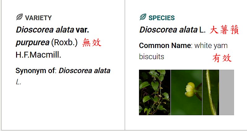 «ö¦¹¦b·sµøµ¡ÂsÄý¹Ï¤ù