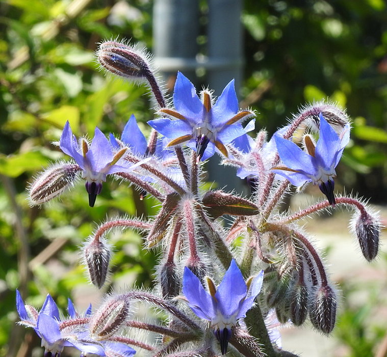 «ö¦¹¦b·sµøµ¡ÂsÄý¹Ï¤ù