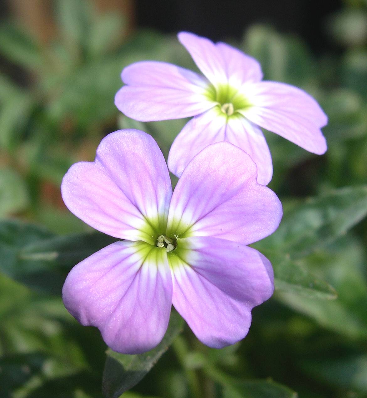 按此在新視窗瀏覽圖片