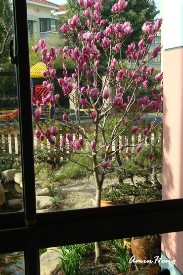 按此在新視窗瀏覽圖片