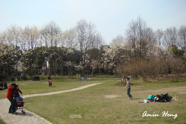 按此在新視窗瀏覽圖片