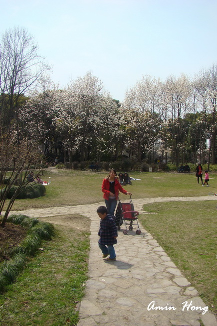 按此在新視窗瀏覽圖片