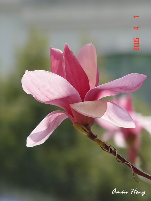 按此在新視窗瀏覽圖片