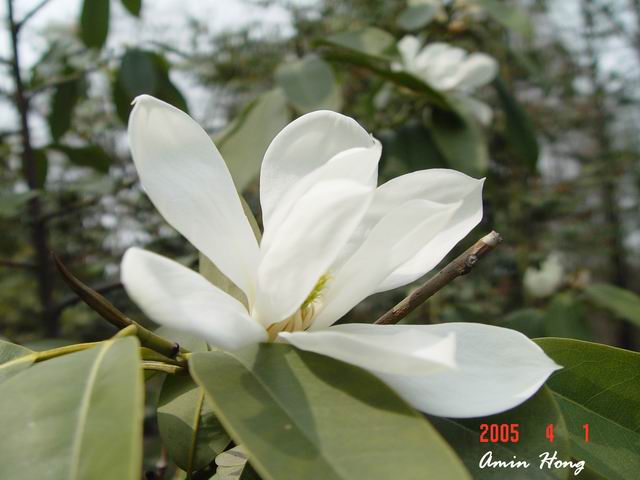 按此在新視窗瀏覽圖片