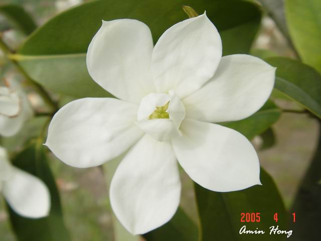 按此在新視窗瀏覽圖片