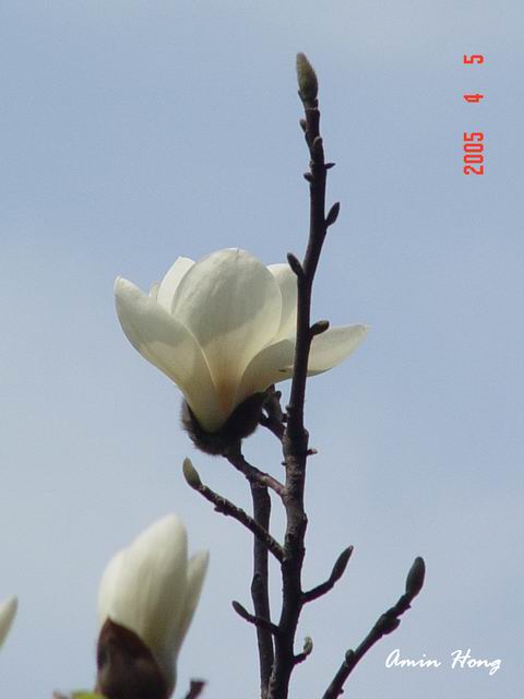 按此在新視窗瀏覽圖片