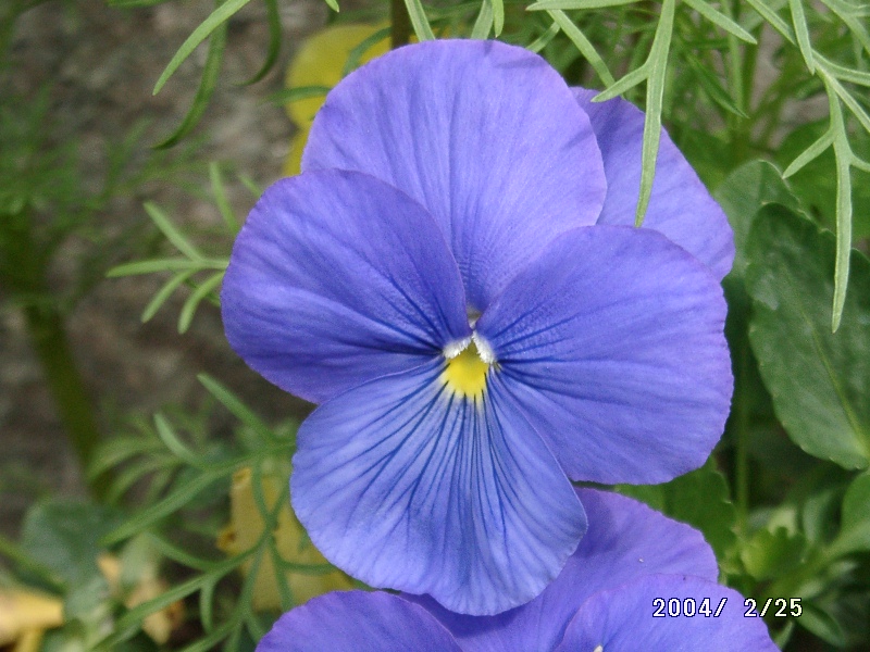 按此在新視窗瀏覽圖片