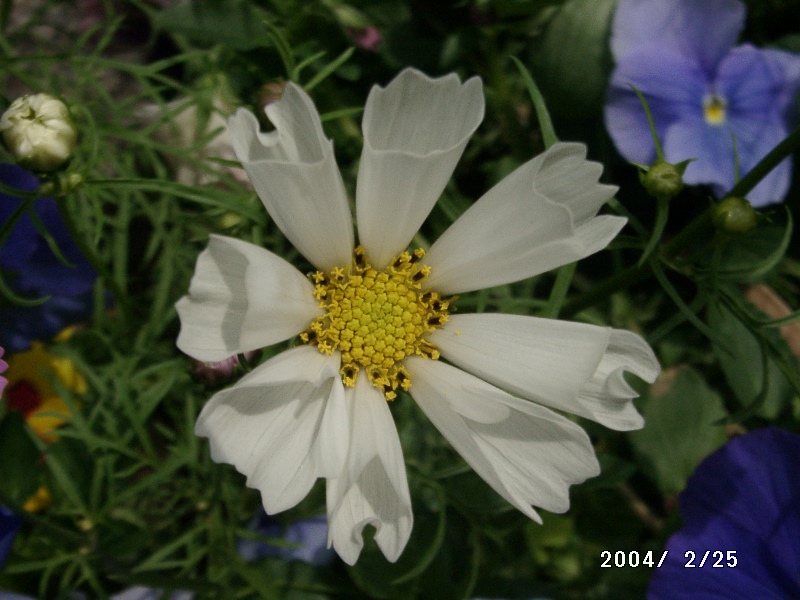 按此在新視窗瀏覽圖片