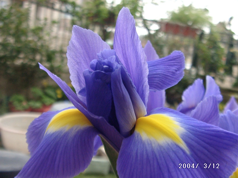 按此在新視窗瀏覽圖片