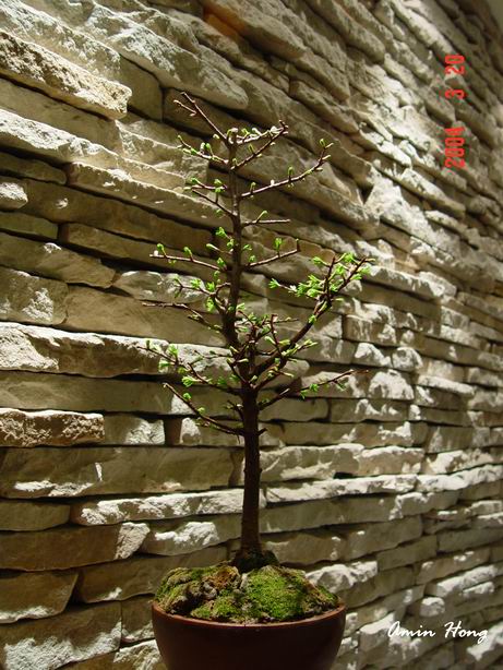 «ö¦¹¦b·sµøµ¡ÂsÄý¹Ï¤ù