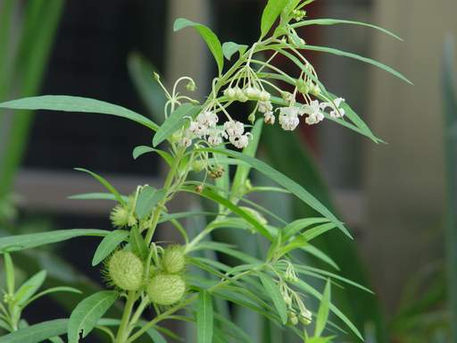 «ö¦¹¦b·sµøµ¡ÂsÄý¹Ï¤ù