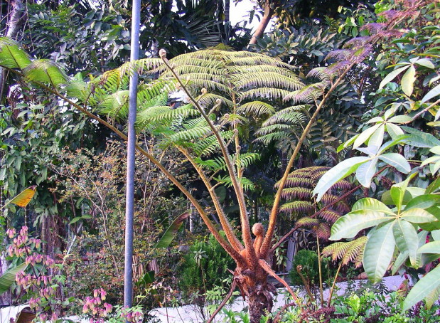 按此在新視窗瀏覽圖片