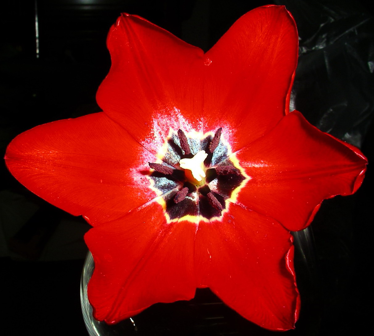 按此在新視窗瀏覽圖片