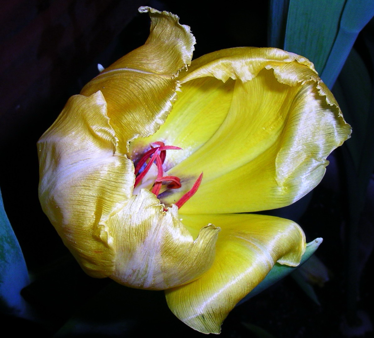 按此在新視窗瀏覽圖片