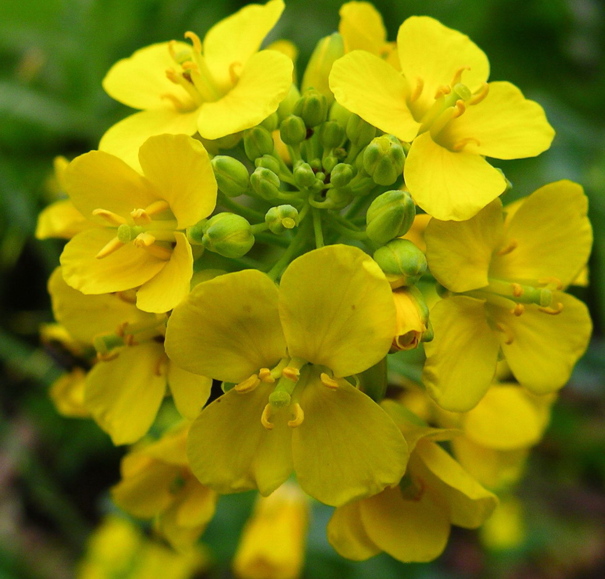 按此在新視窗瀏覽圖片