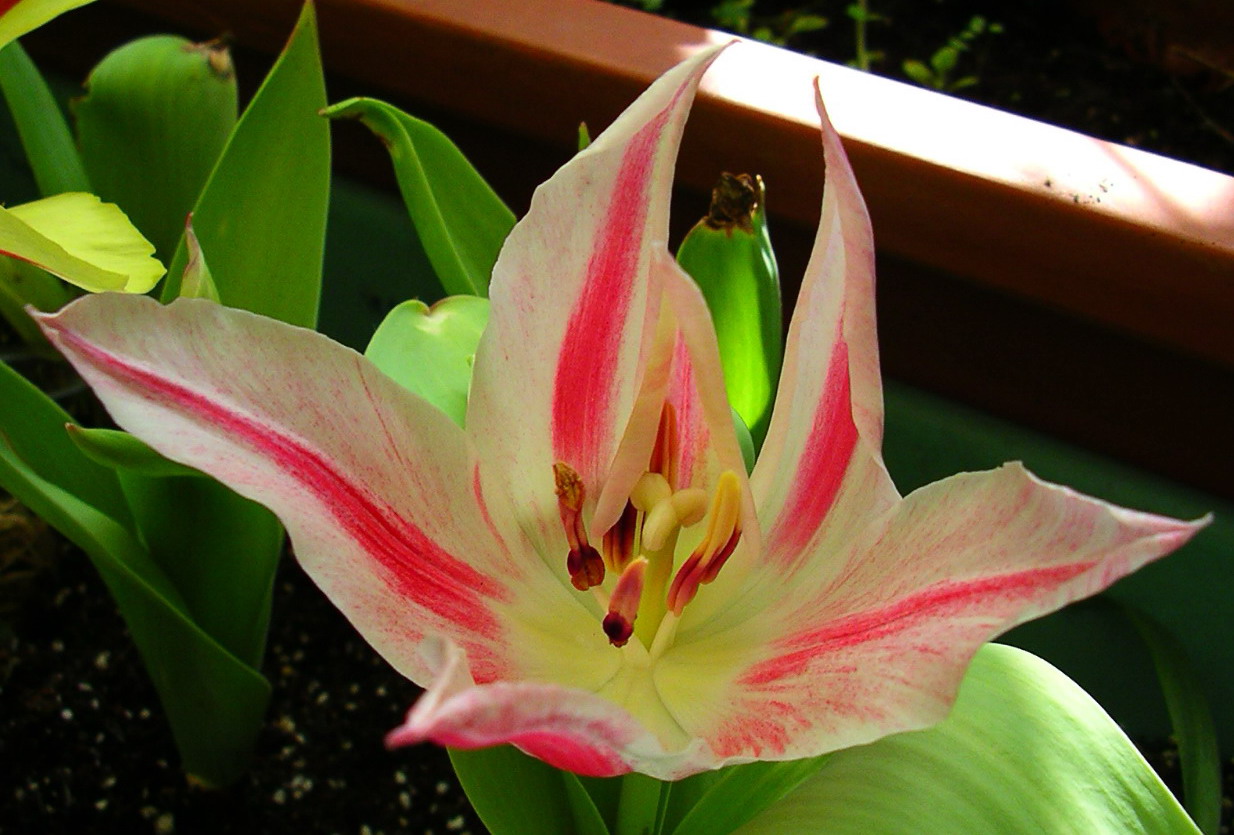 按此在新視窗瀏覽圖片