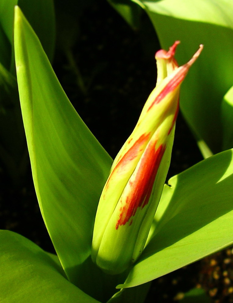 按此在新視窗瀏覽圖片