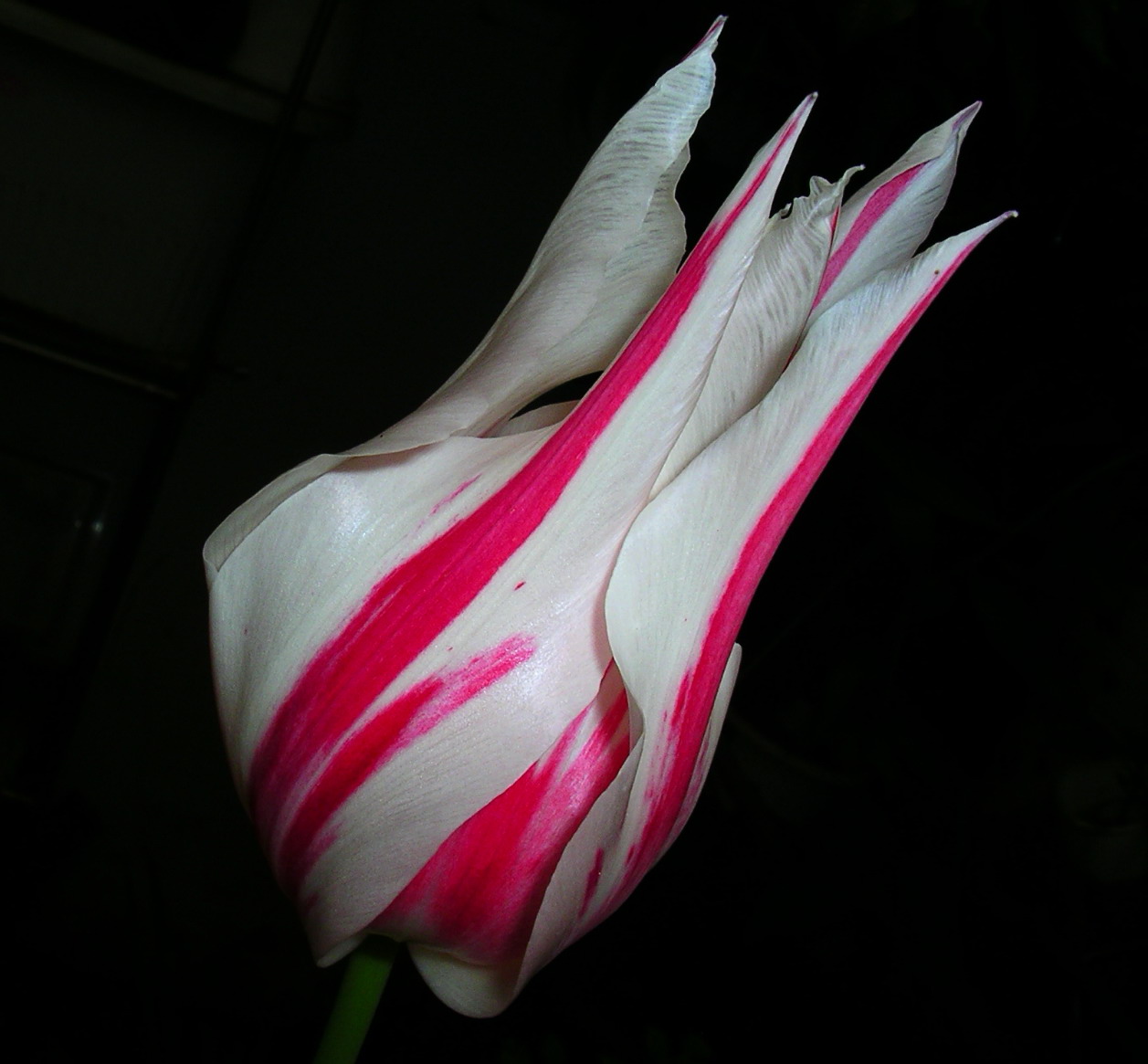 按此在新視窗瀏覽圖片