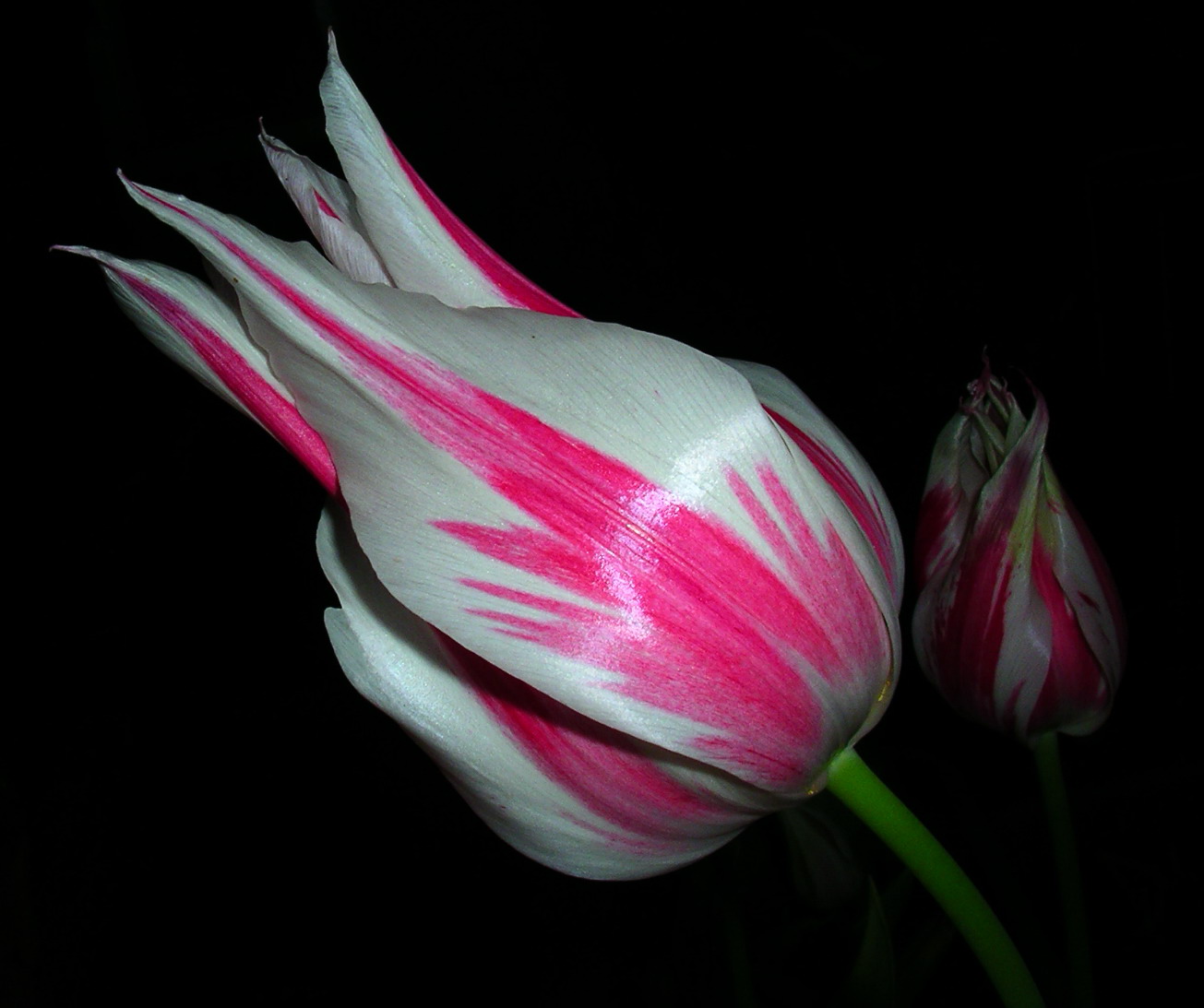 按此在新視窗瀏覽圖片