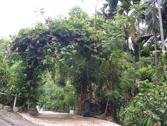 按此在新視窗瀏覽圖片