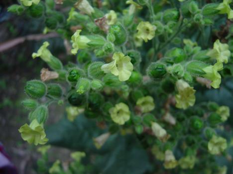 «ö¦¹¦b·sµøµ¡ÂsÄý¹Ï¤ù