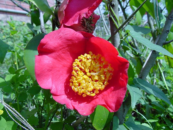 按此在新視窗瀏覽圖片