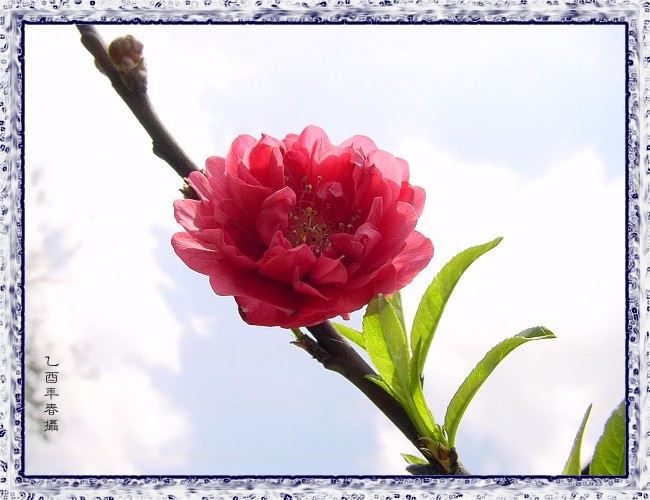 按此在新視窗瀏覽圖片