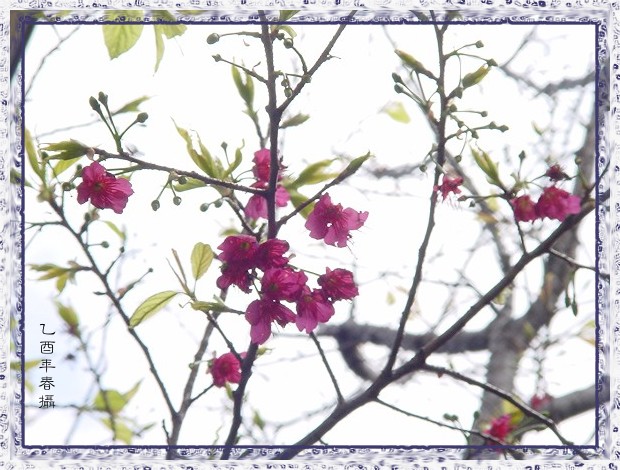 按此在新視窗瀏覽圖片