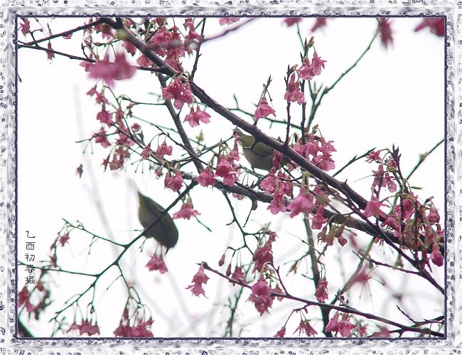 按此在新視窗瀏覽圖片