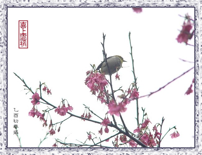 按此在新視窗瀏覽圖片