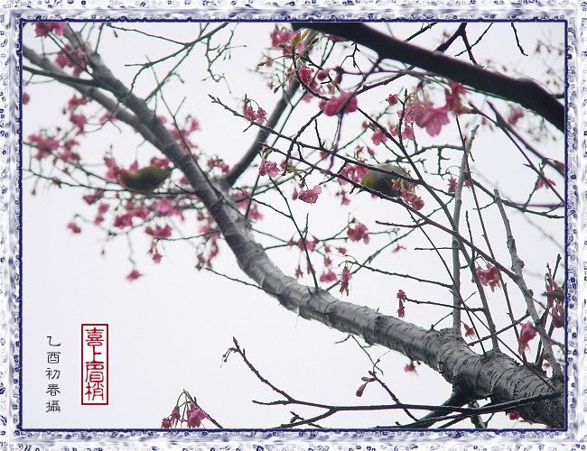 按此在新視窗瀏覽圖片