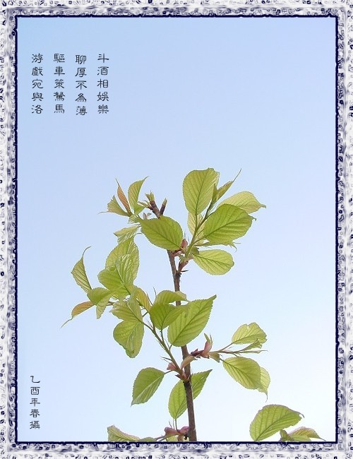 按此在新視窗瀏覽圖片