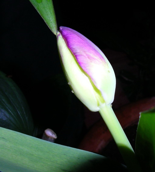 按此在新視窗瀏覽圖片