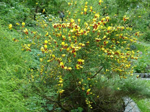 «ö¦¹¦b·sµøµ¡ÂsÄý¹Ï¤ù