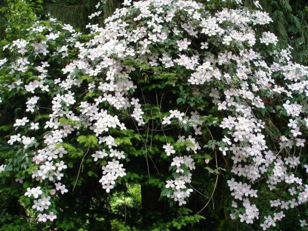 «ö¦¹¦b·sµøµ¡ÂsÄý¹Ï¤ù