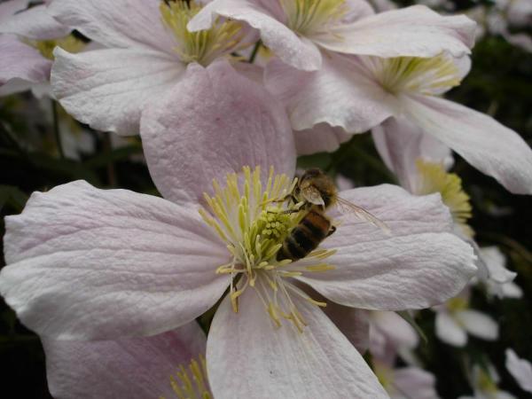 «ö¦¹¦b·sµøµ¡ÂsÄý¹Ï¤ù