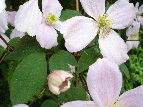 «ö¦¹¦b·sµøµ¡ÂsÄý¹Ï¤ù