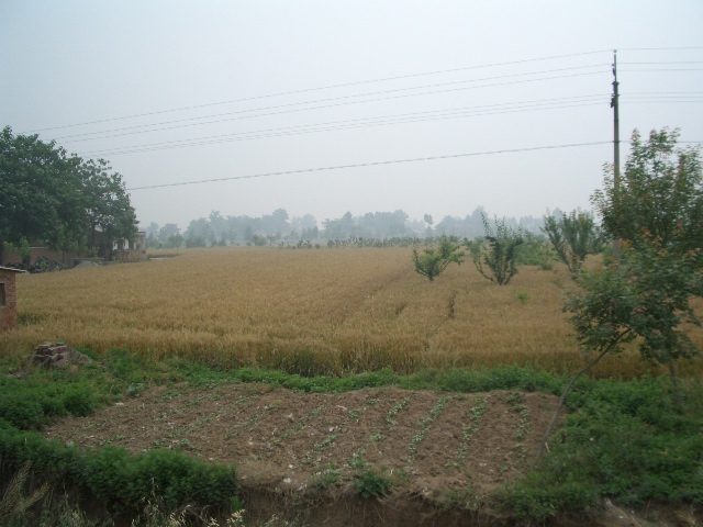 按此在新視窗瀏覽圖片