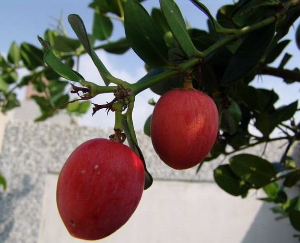 «ö¦¹¦b·sµøµ¡ÂsÄý¹Ï¤ù