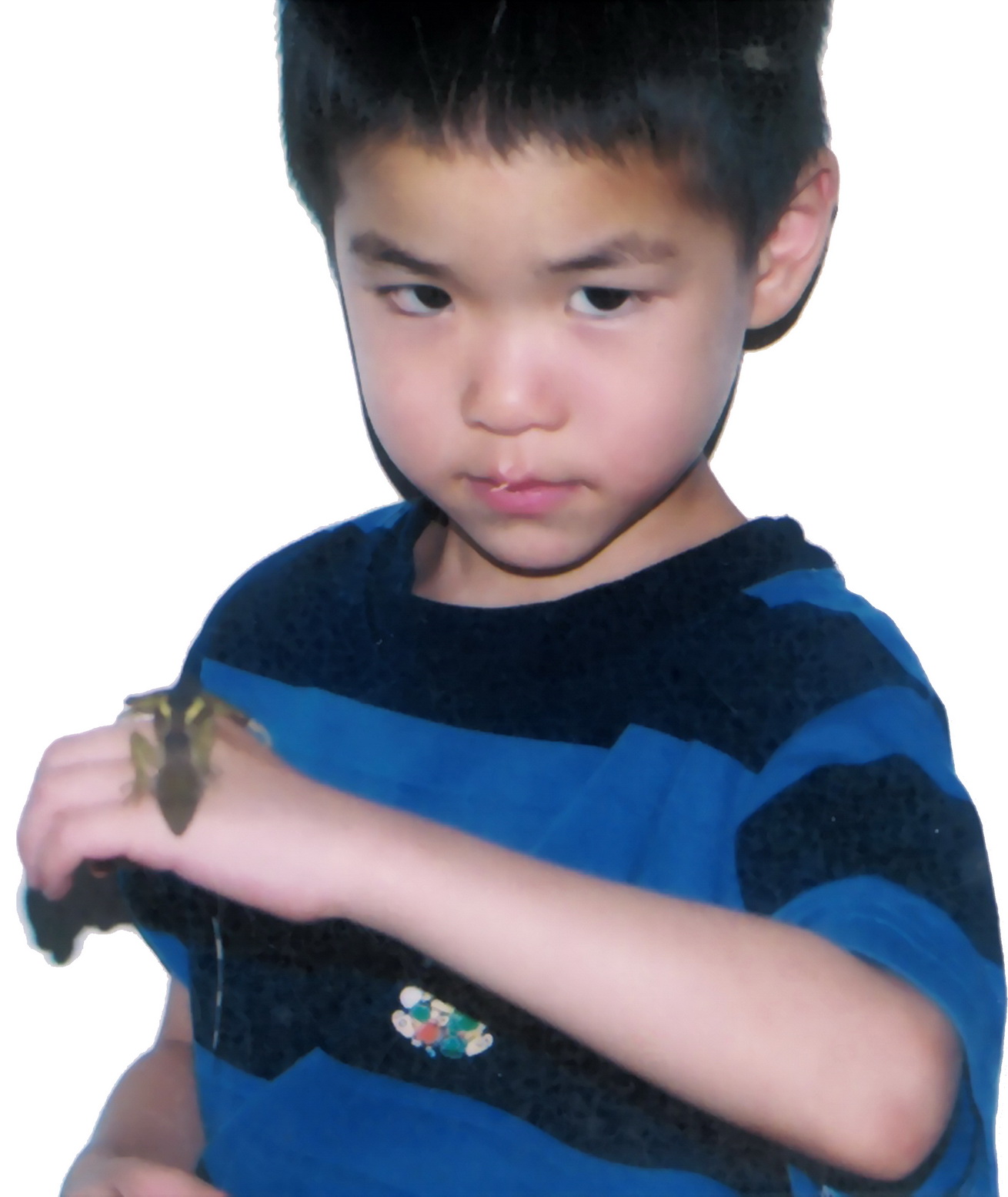 按此在新視窗瀏覽圖片