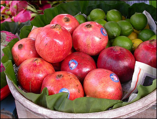 «ö¦¹¦b·sµøµ¡ÂsÄý¹Ï¤ù