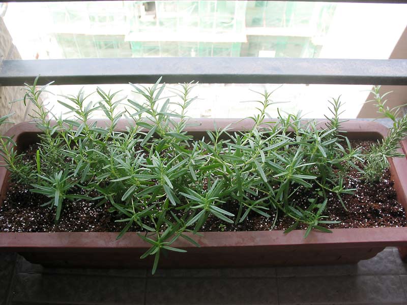 «ö¦¹¦b·sµøµ¡ÂsÄý¹Ï¤ù