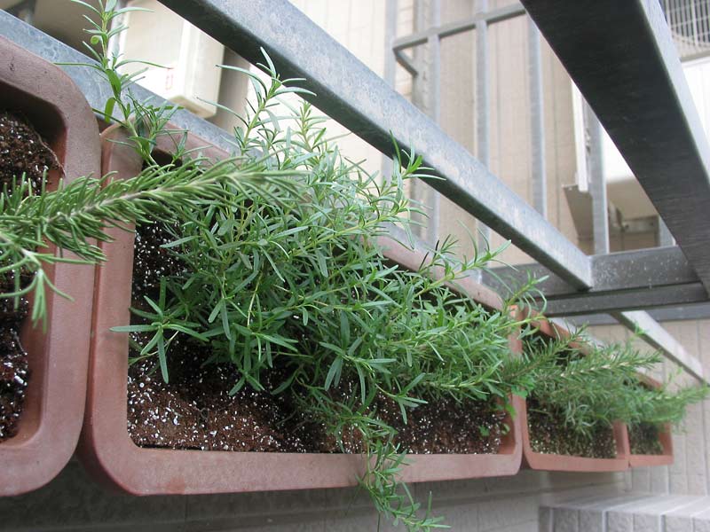 «ö¦¹¦b·sµøµ¡ÂsÄý¹Ï¤ù