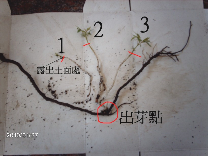 «ö¦¹¦b·sµøµ¡ÂsÄý¹Ï¤ù