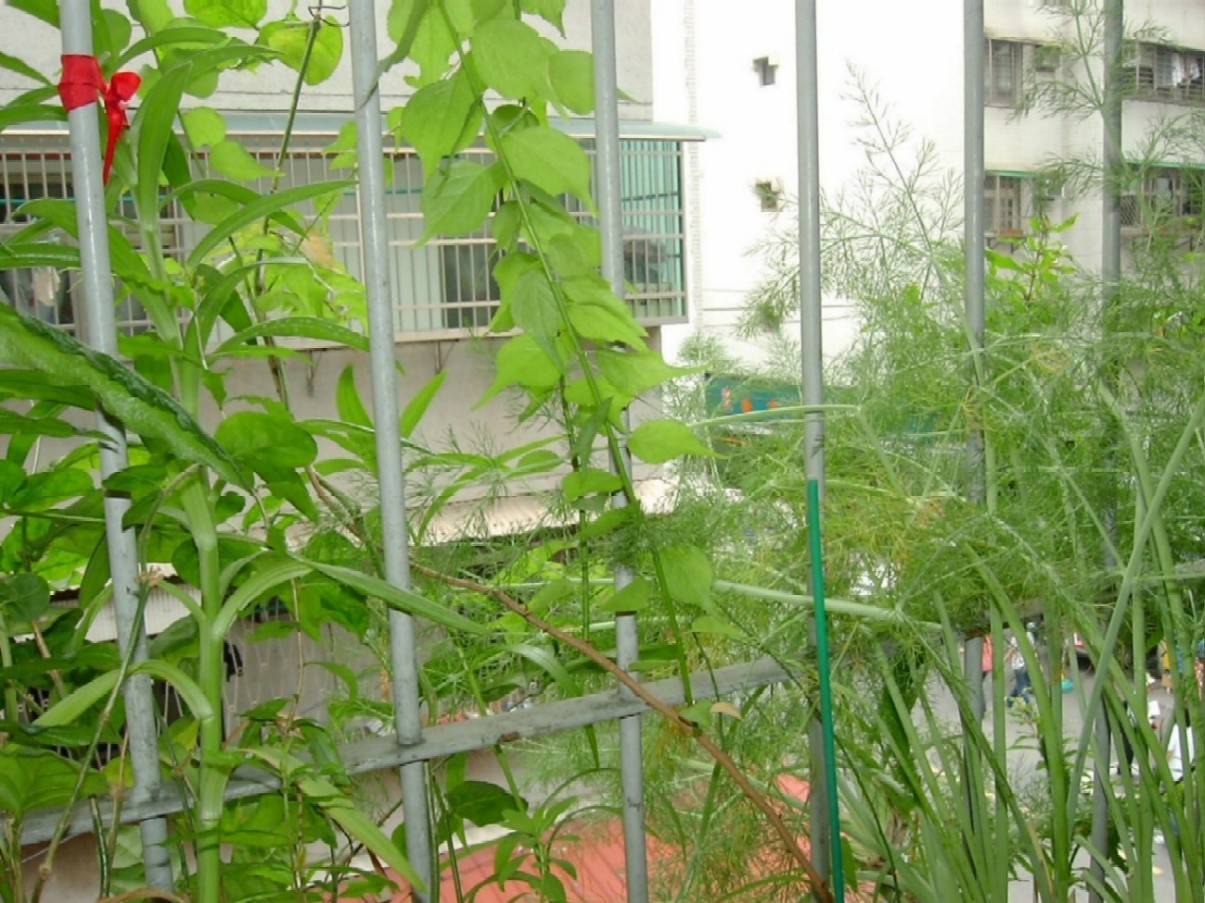 按此在新視窗瀏覽圖片