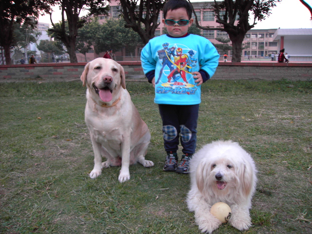 按此在新視窗瀏覽圖片