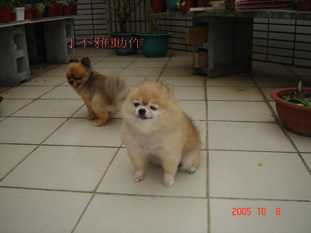 «ö¦¹¦b·sµøµ¡ÂsÄý¹Ï¤ù