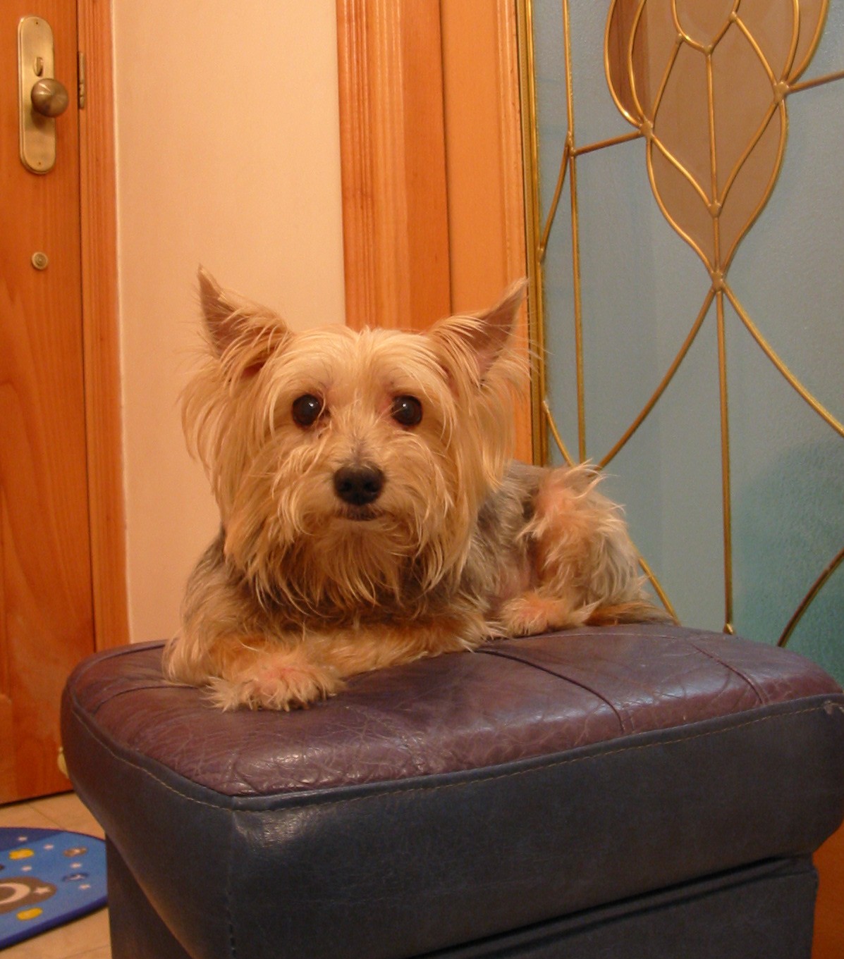 按此在新視窗瀏覽圖片