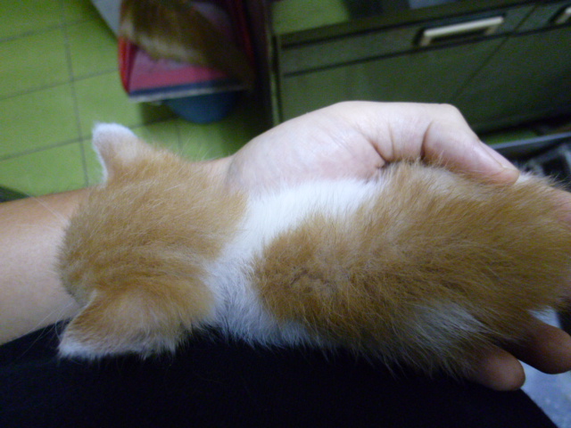 «ö¦¹¦b·sµøµ¡ÂsÄý¹Ï¤ù